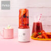 Xiaomi Pinlo Portable Rechargeable 350ml Juice Cup Smoothie Fruit Juicer Machine