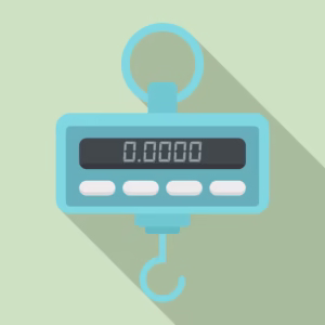Luggage Weight Scale